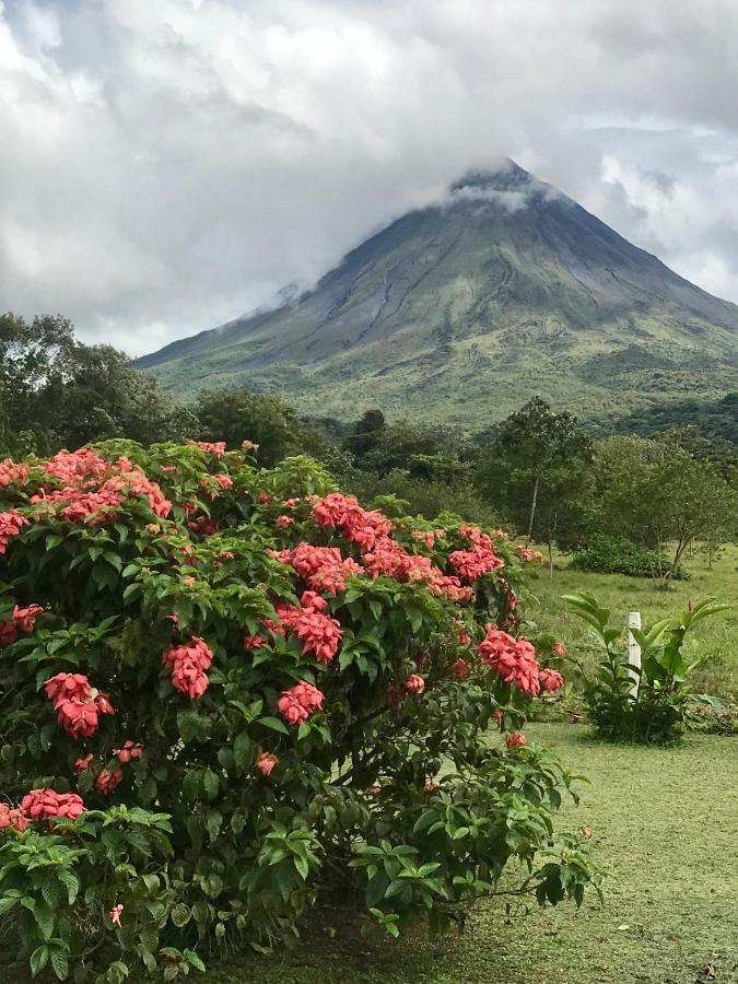 Arenal Roca Suites La Fortuna Екстериор снимка