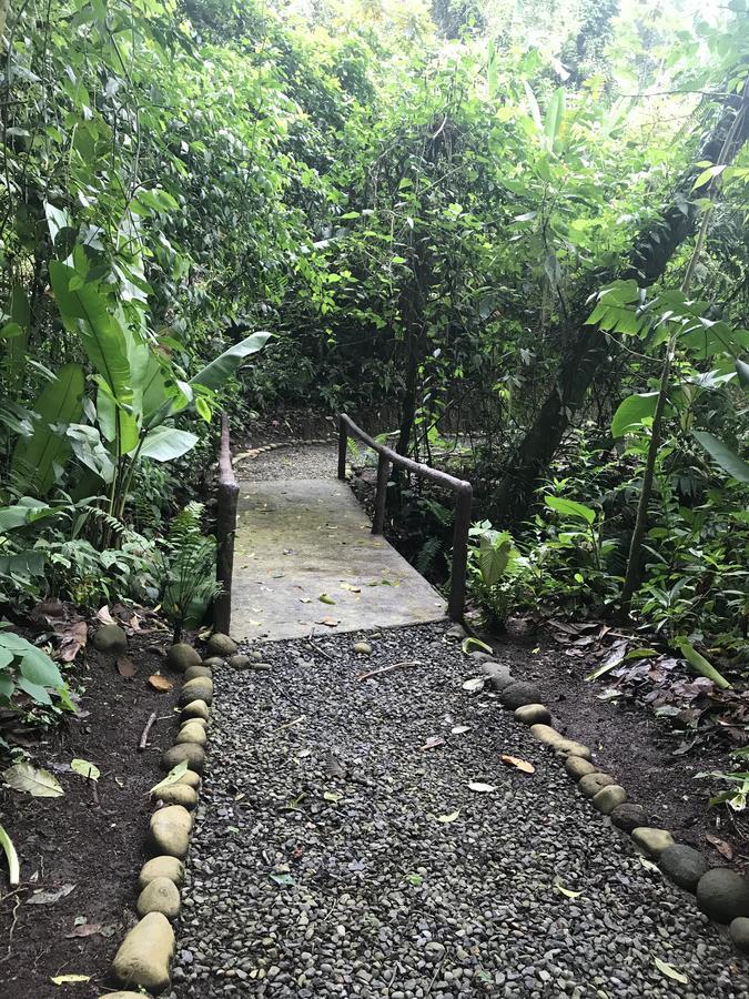 Arenal Roca Suites La Fortuna Екстериор снимка